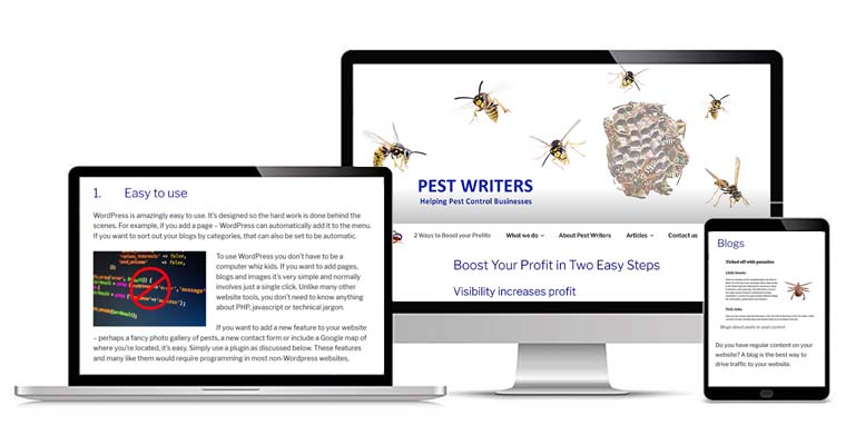Portfolio of screens for Pestwriters