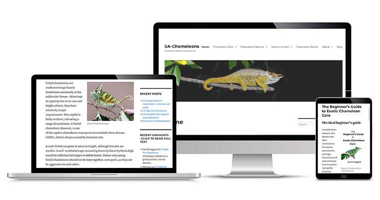 Portfolio screens for sa-chameleons